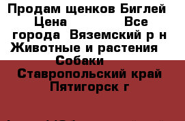 Продам щенков Биглей › Цена ­ 15 000 - Все города, Вяземский р-н Животные и растения » Собаки   . Ставропольский край,Пятигорск г.